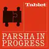 Parsha in Progress