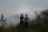 Seed: The Untold Story
