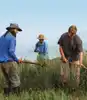 Perennial Grain Revolution - The Land Institute - Join Now