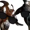 Goats Who Stare At Humans